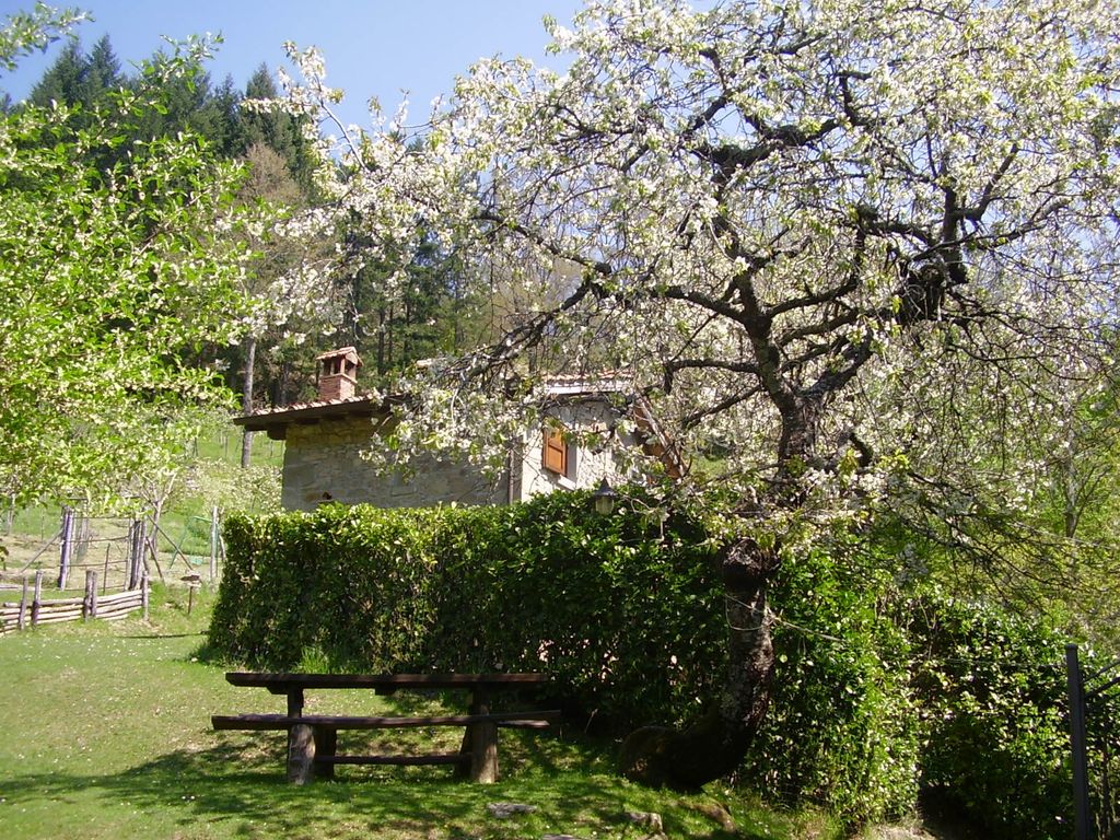 Antico Essiccatoio delle Castagne in Toscana