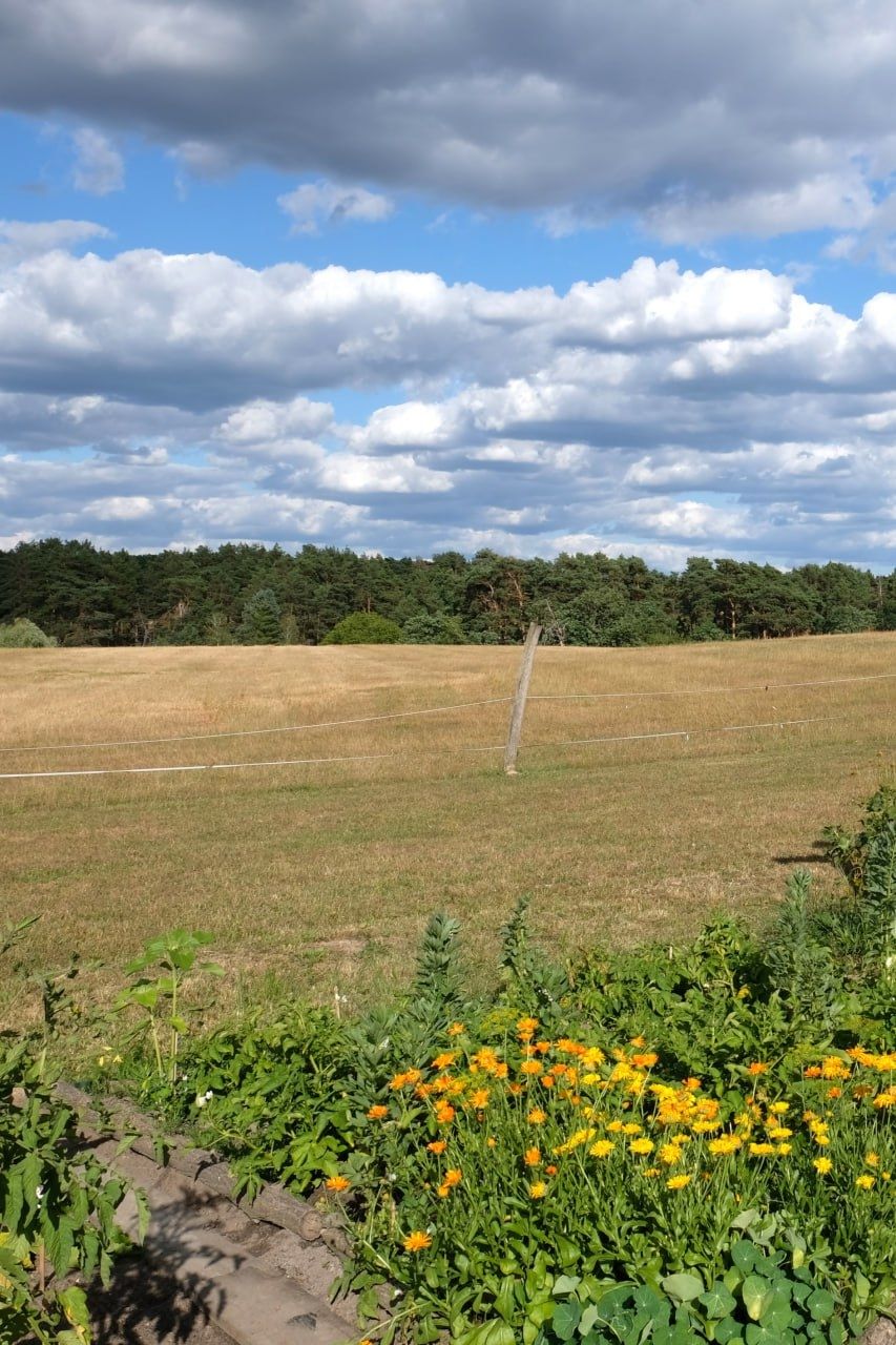 Un petit coin tranquille avec vue sur l'horizon