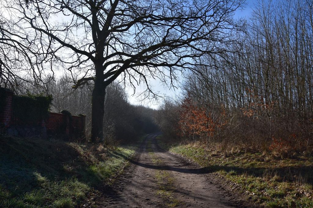 Farmstead Camping by the Lake: Peace & Nature