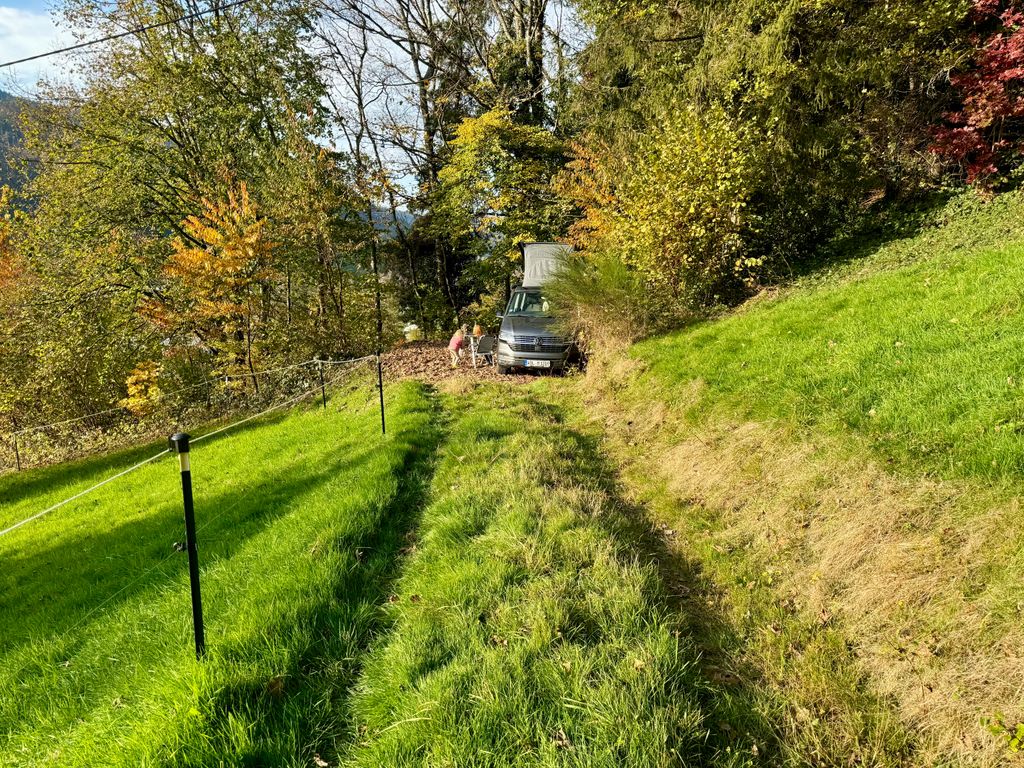 Waldrand Idylle inmitten der Natur in Alleinlage