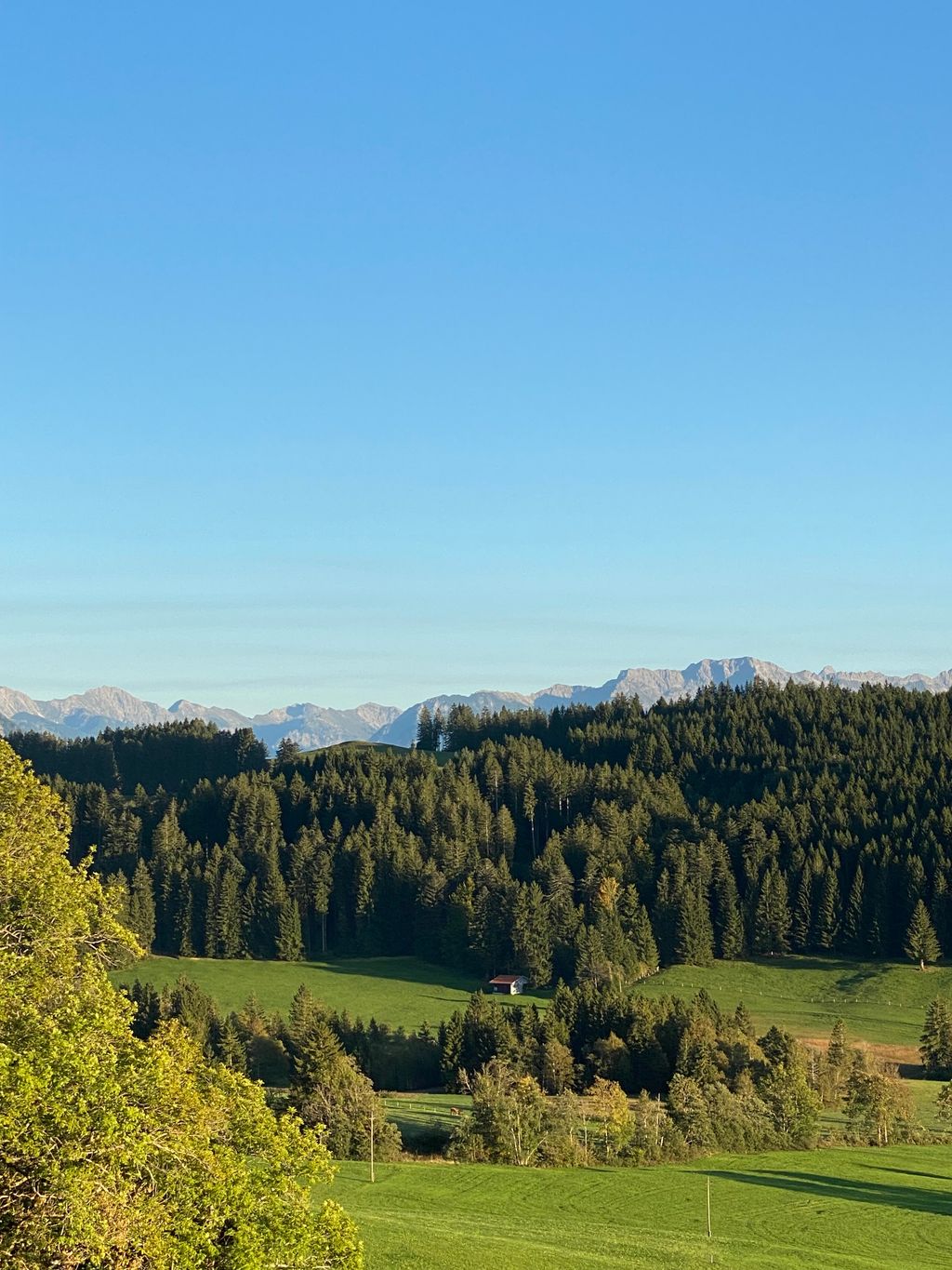 Camping with mountain view Nagelfluhkette