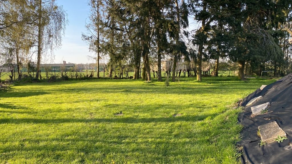 Relájese en el prado y evádase de la vida cotidiana