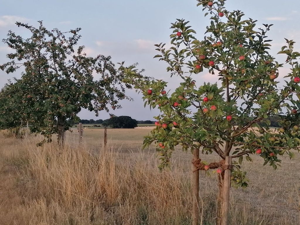 Campeggio sul prato di fieno
