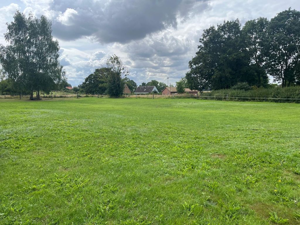 Nature and tranquillity surrounded by fields near Rostock