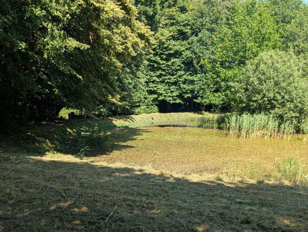 Área de acampada en un biotopo natural junto al estanque en Frisia del Norte