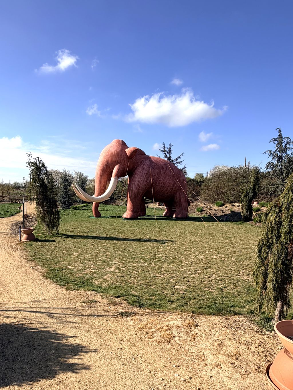 Oberlausitz-Stopp: Natur & Action am Mammutgarten