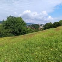 Una experiencia de acampada única en un barril-cama