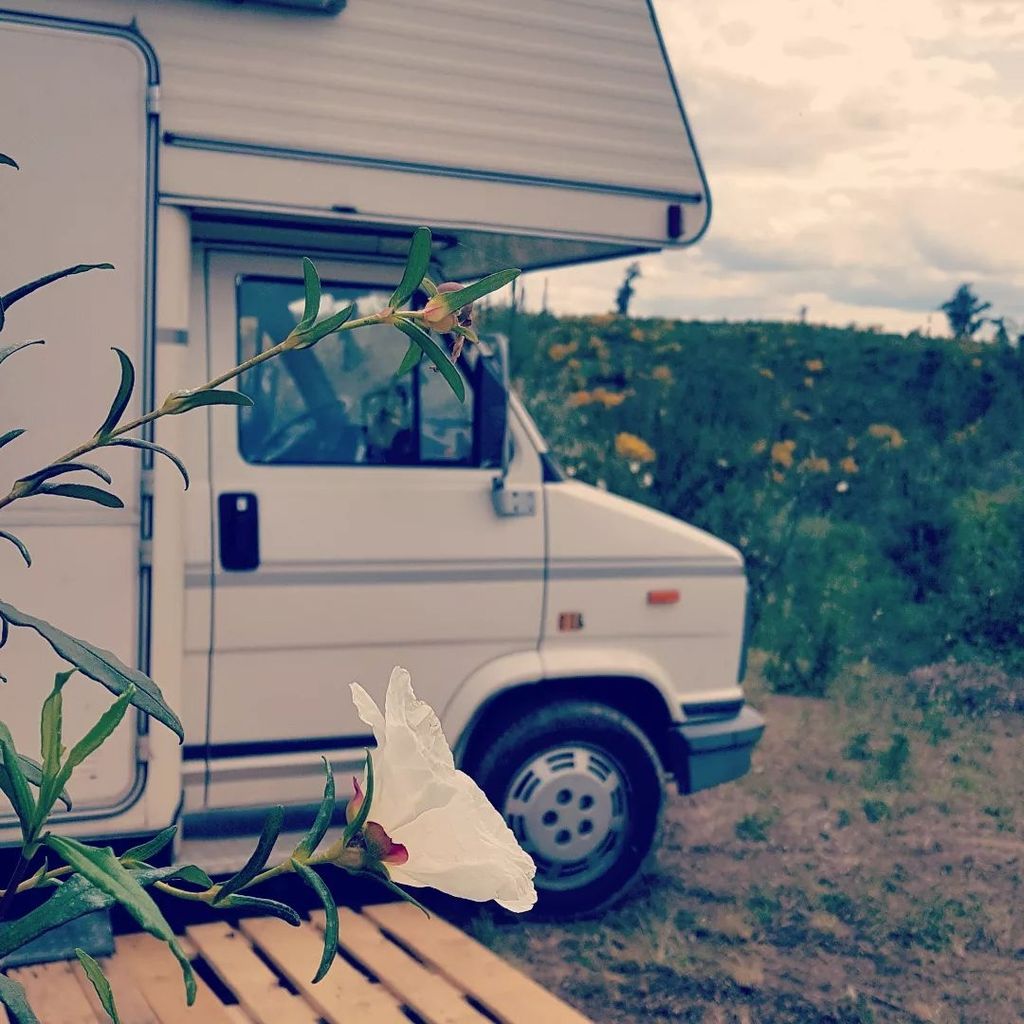 Spend the night among olive and fig trees