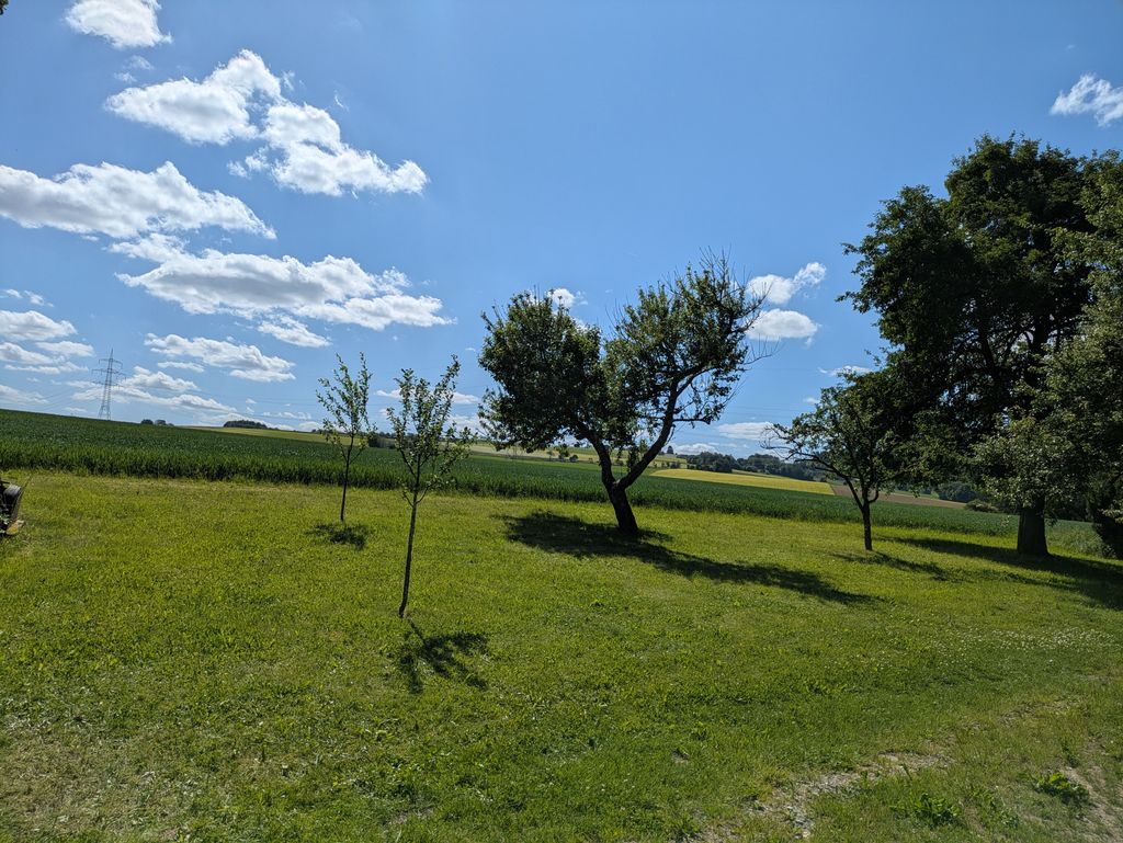 Idyllic pitch - close to nature & quiet