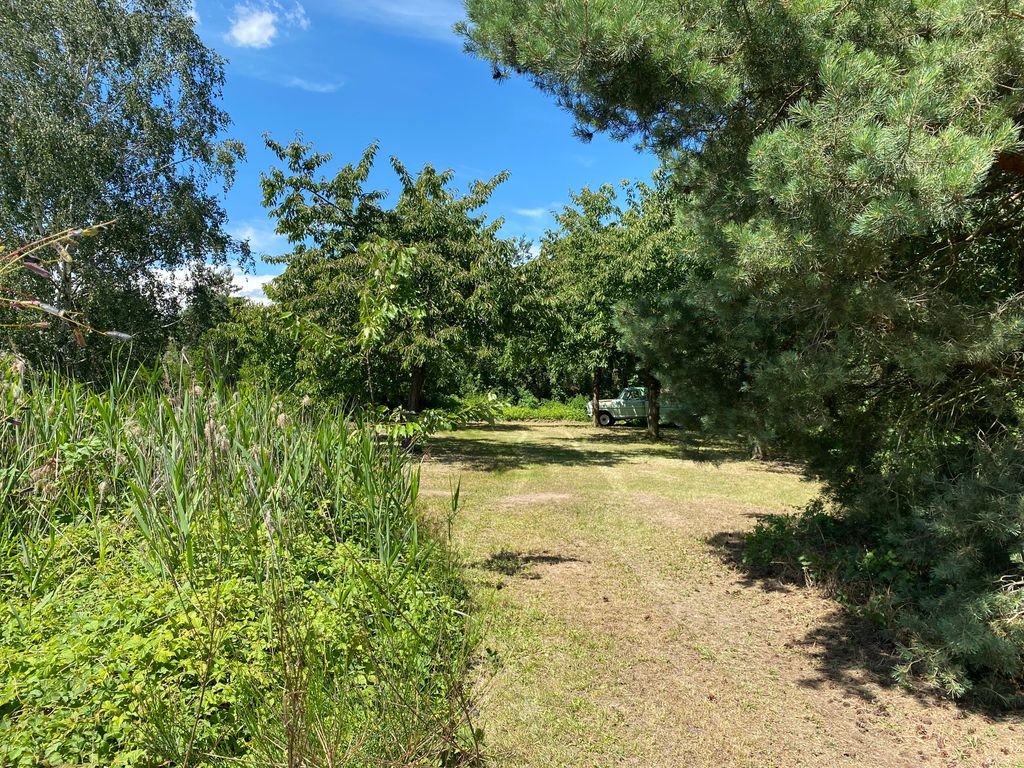 Die Kirschwiese in der Kiesgrube