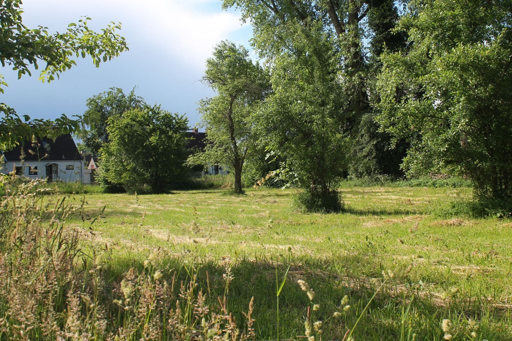 Overnight stay in the orchard near the freeway BAB 7