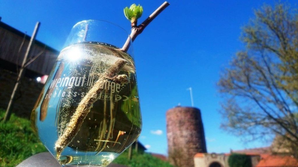 Bodega ecológica en el castillo de Saaleck