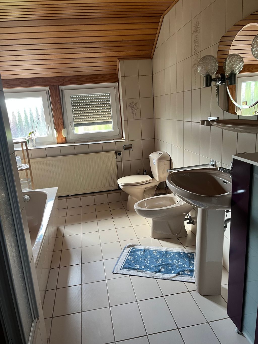 Salle de bains avec douche et WC