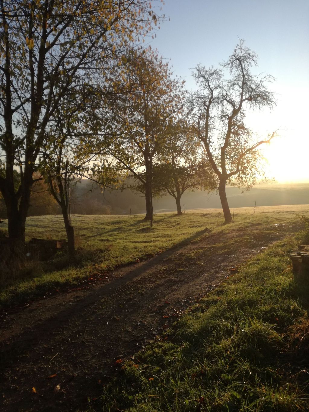 Tranquilidad absoluta: tiempo libre en la granja