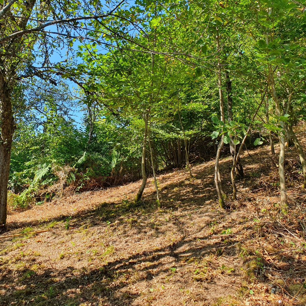 Terrain de camping "Räuberhöhle" dans le nord de la Forêt-Noire