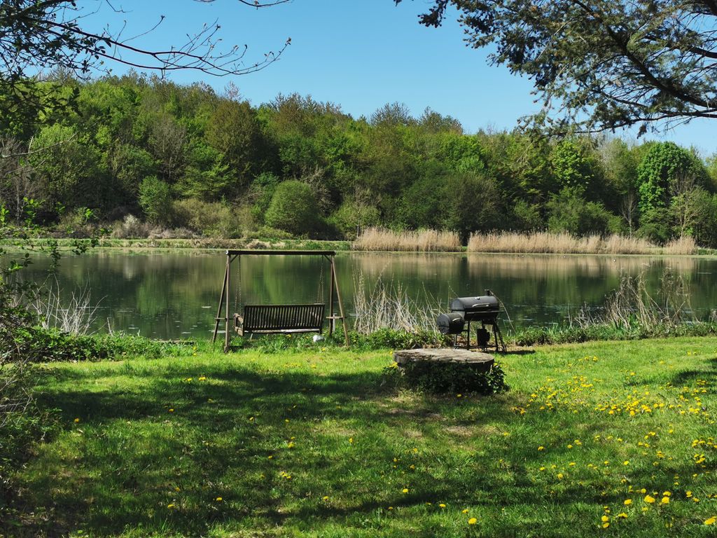 Natural paradise by the pond🌲🦔🐿️
