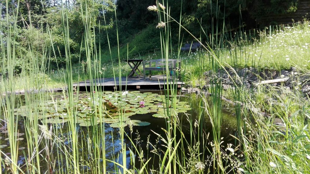 Naturnah und ruhig übernachten am Schneckenhaus