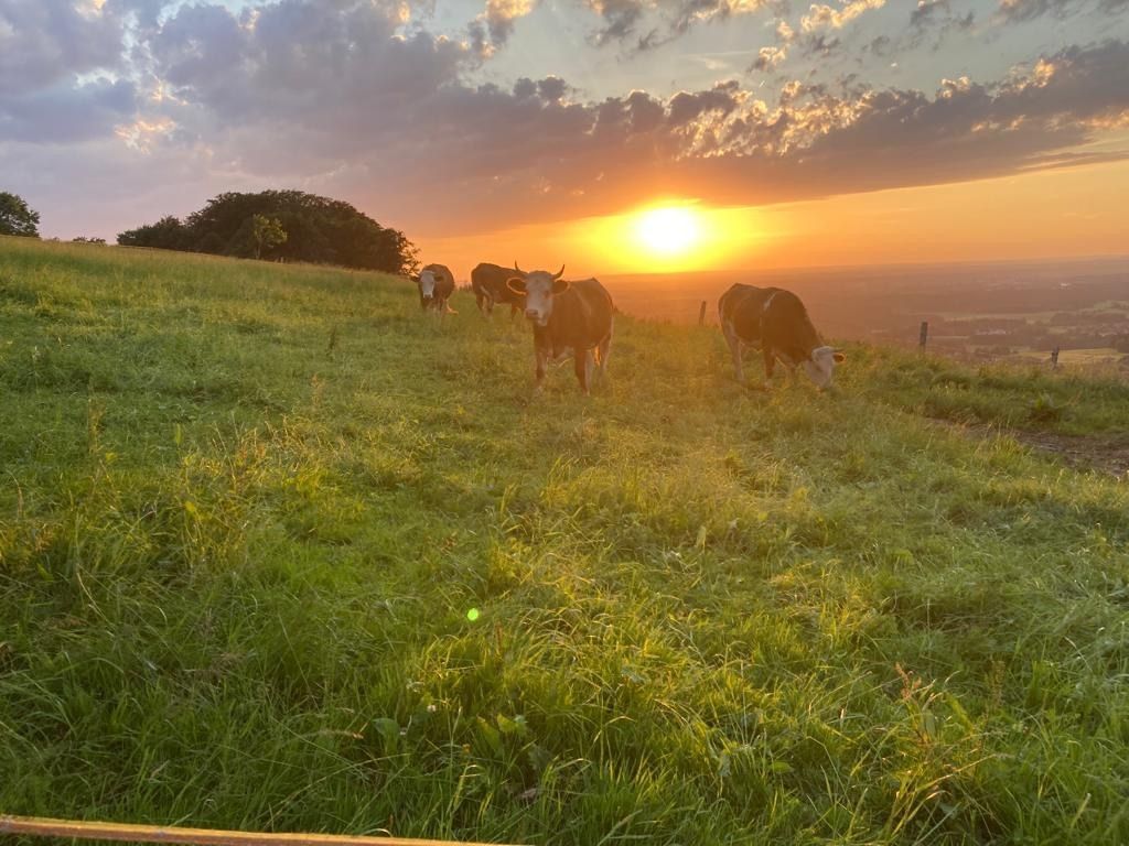 Lugar para tomar el sol en la granja con unas vistas magníficas