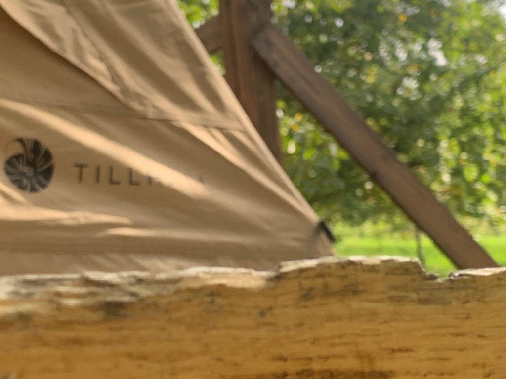 Lara - Rooftop tent adventure in the apple trees