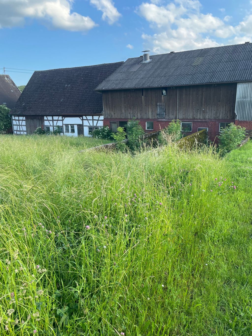 Slow down on our farm right on the edge of the field