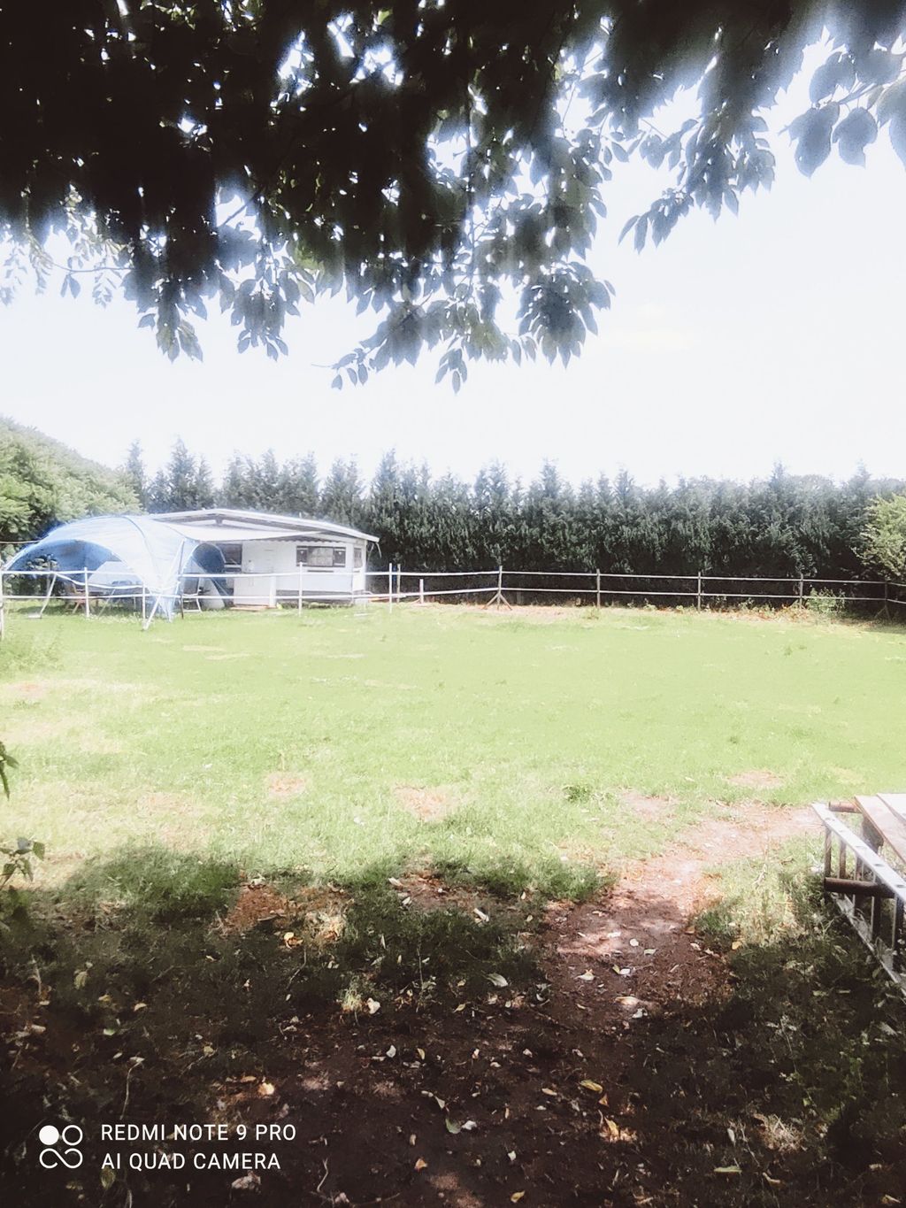 Nature camping with animals in the middle of the countryside