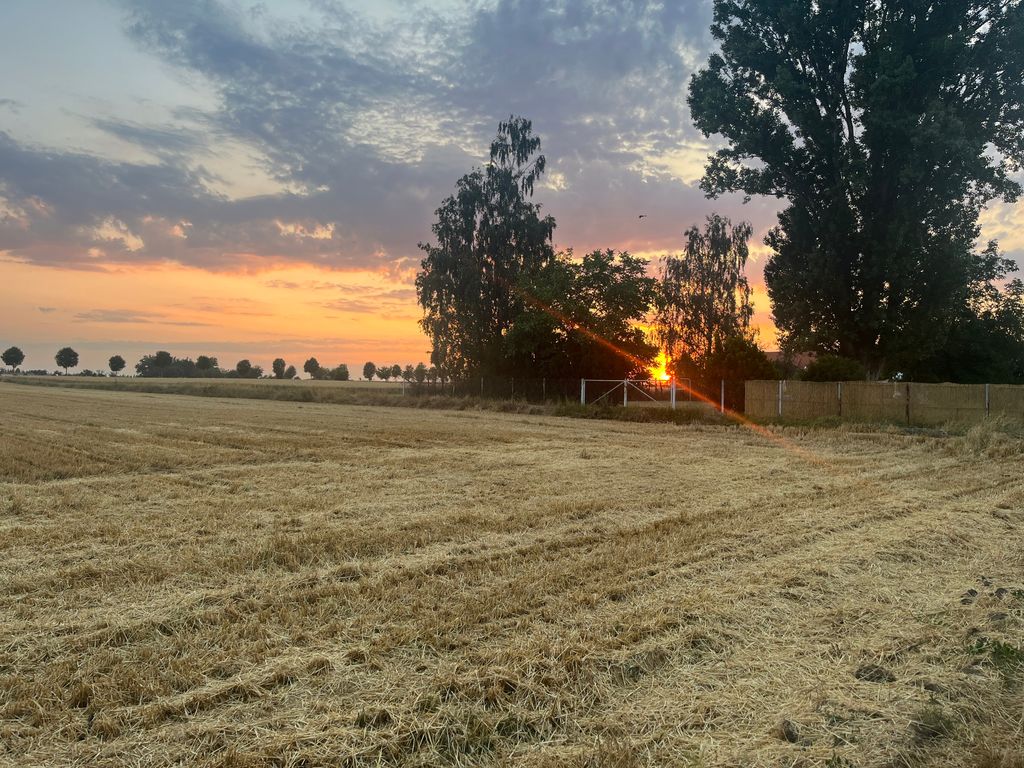 Vista di ampio respiro ai margini del campo, pace, natura e lago