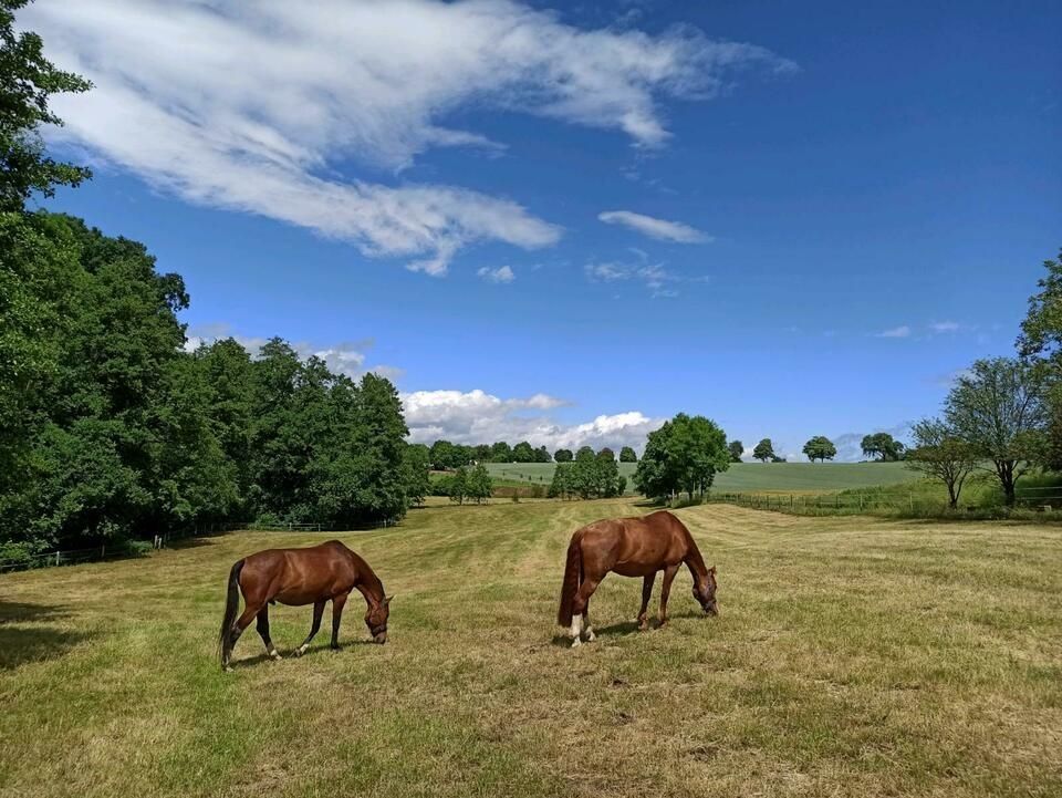 Une ferme idyllique dans un vieux manoir