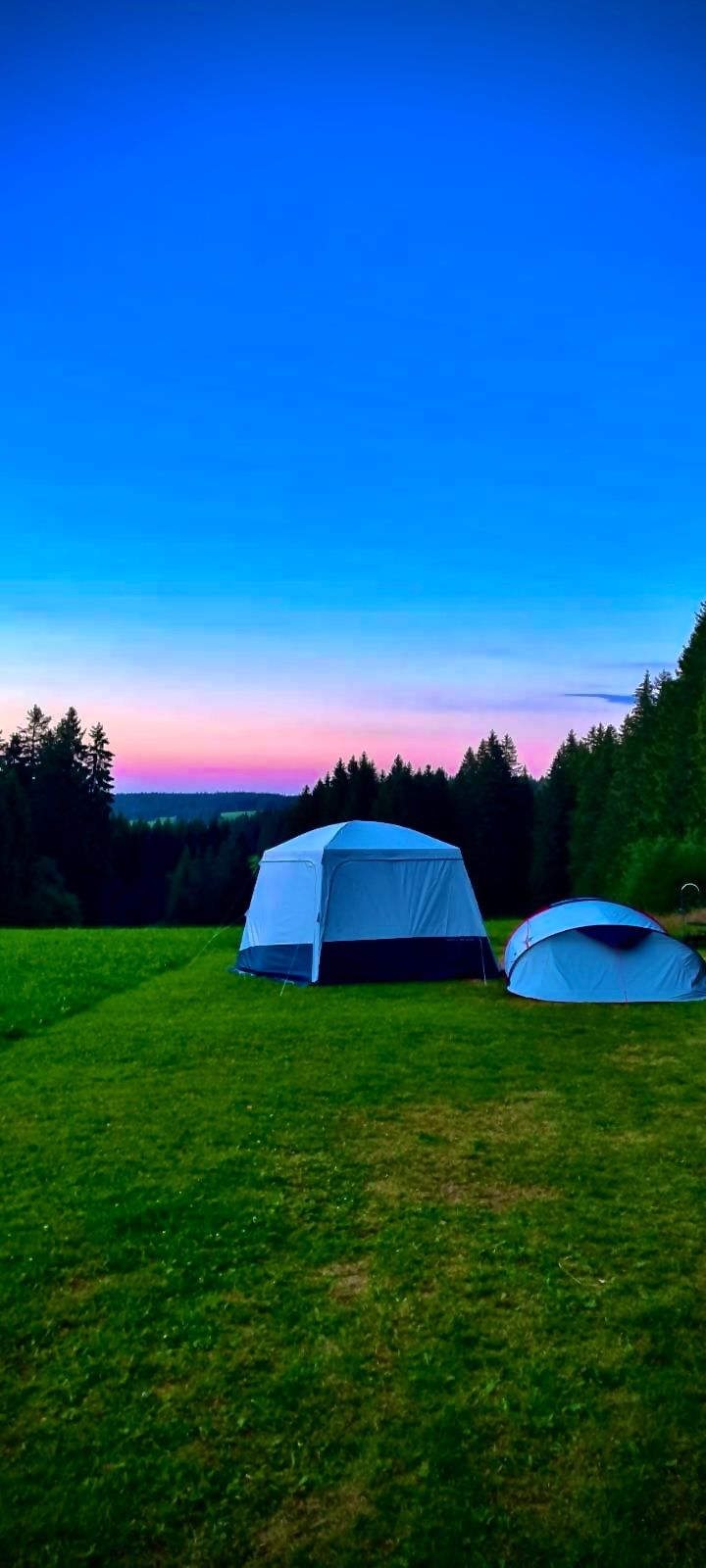 Nature camping in the Black Forest in a secluded location