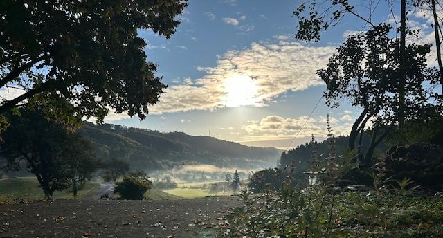 Landliebe Heiligenberg in der Bodenseeregion