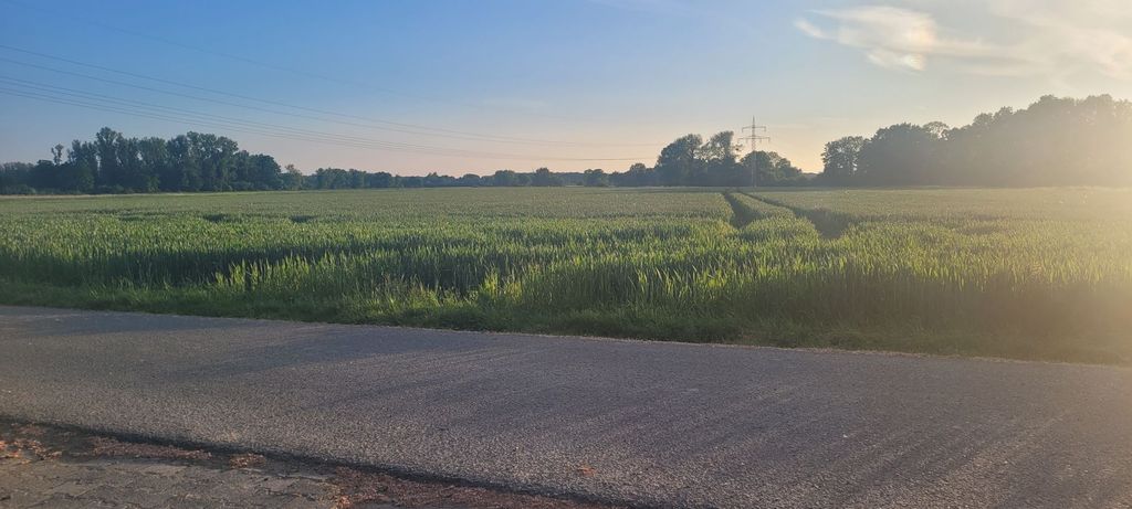In the middle of nature between Hamm and Soest