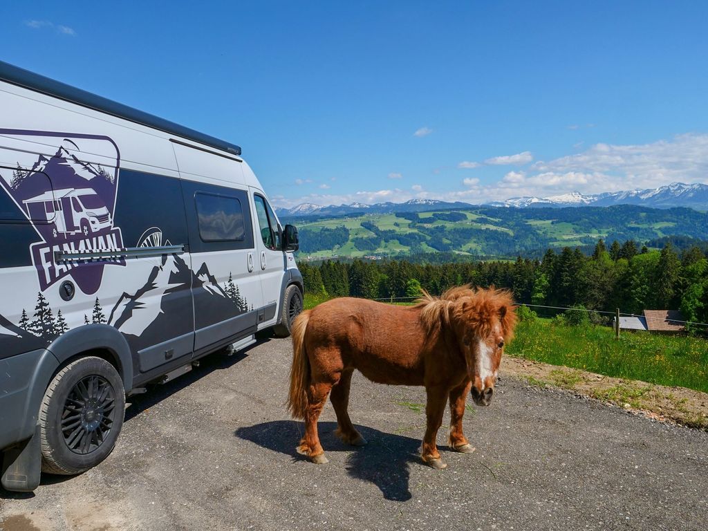 Herrliche Aussicht auf die Allgäuer Bergwelt
