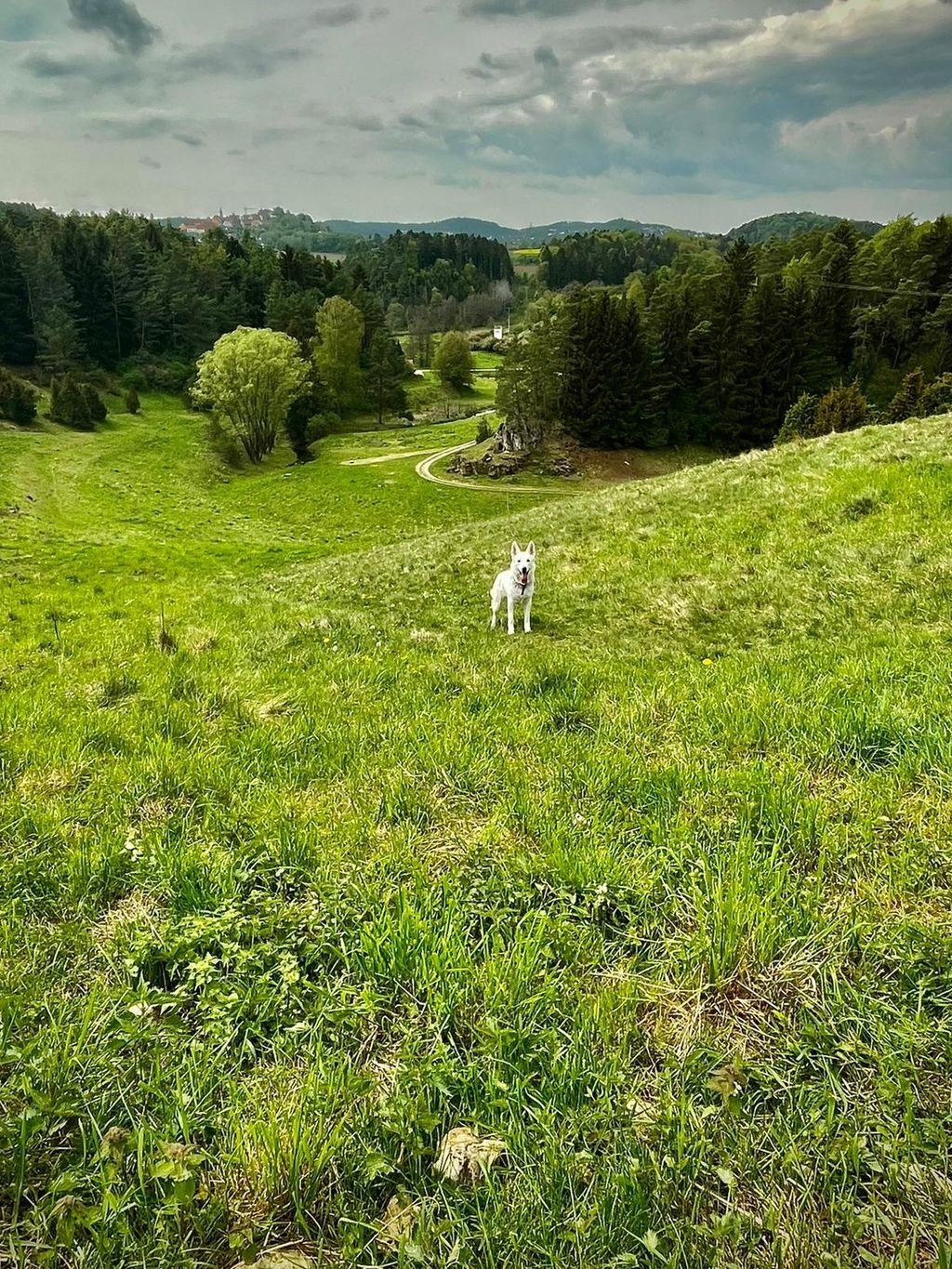 Landschaft auf dem Weg zur Schwarzen Laaber