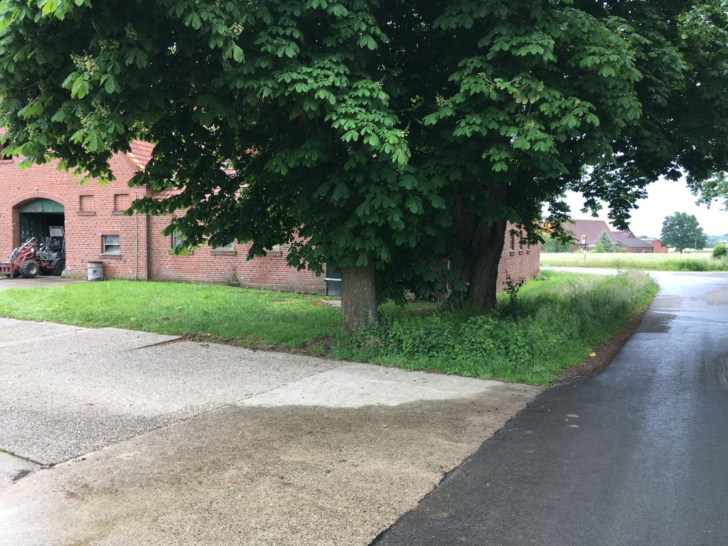 Campeggio sotto i castagni vicino al castello di Nordkirchen