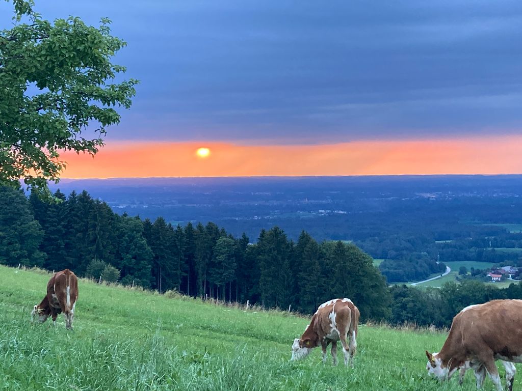Lugar para tomar el sol en la granja con unas vistas magníficas