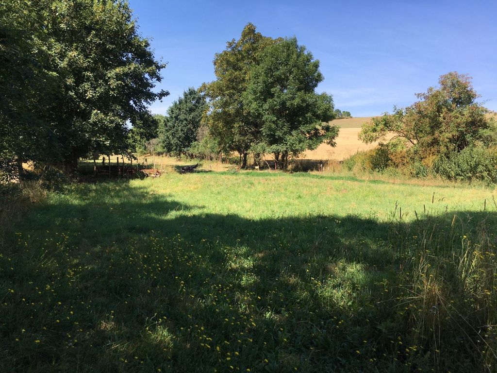 El Olmo - terreno de juego en un prado natural