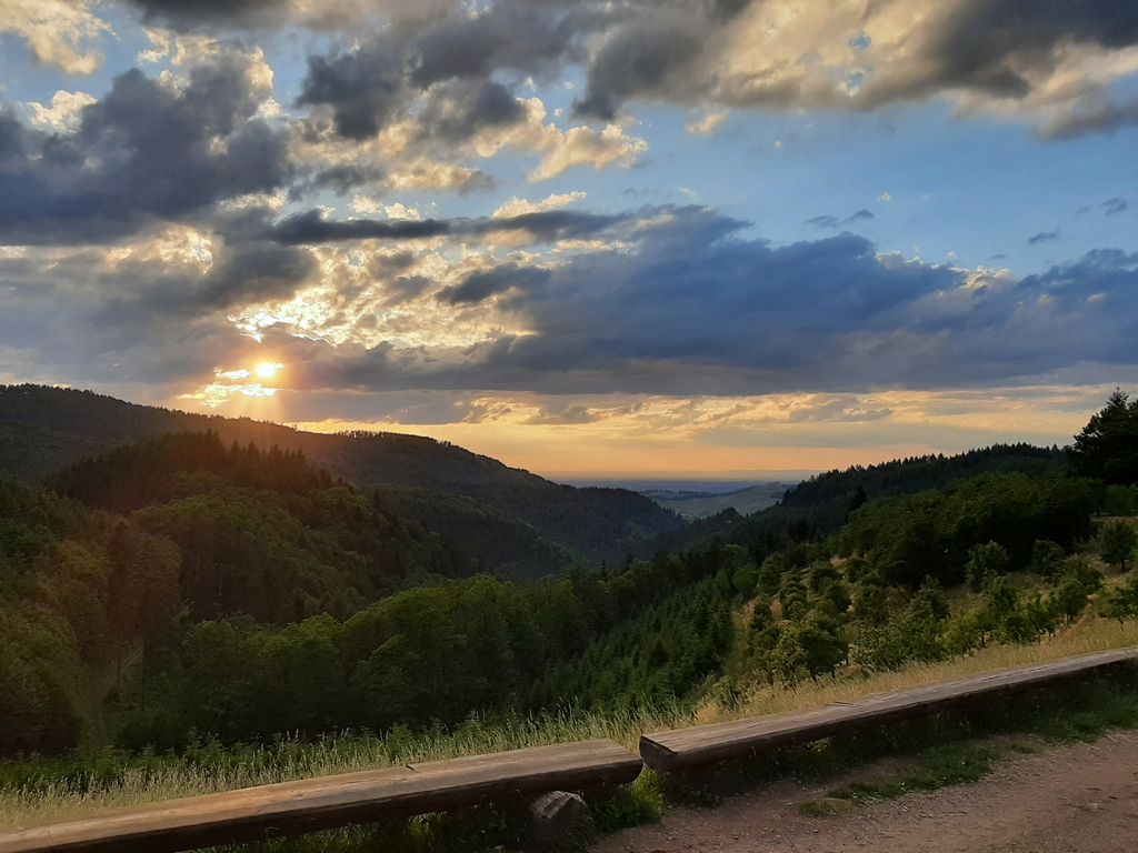 Nature camping with a view in the Black Forest