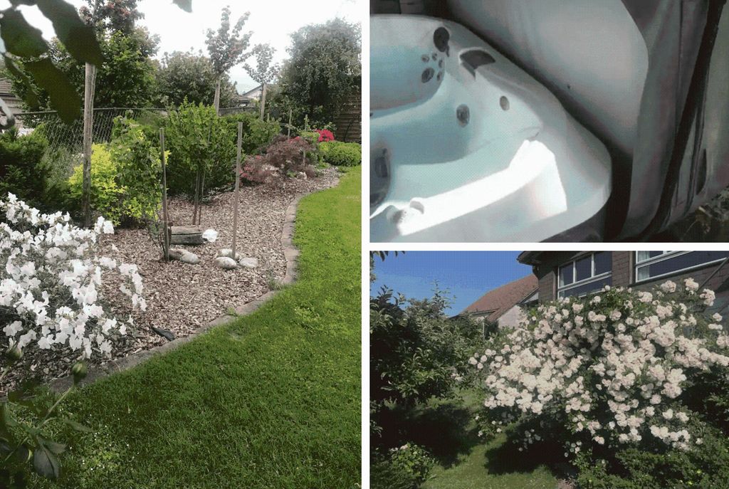 Garden, pool & Jura view in the Mittelland