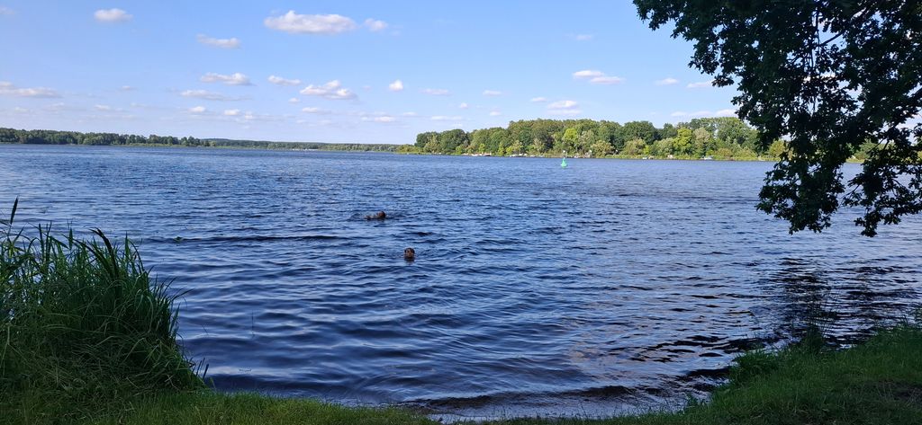 A secluded spot by the lake: nature camping in the Unterspreewald