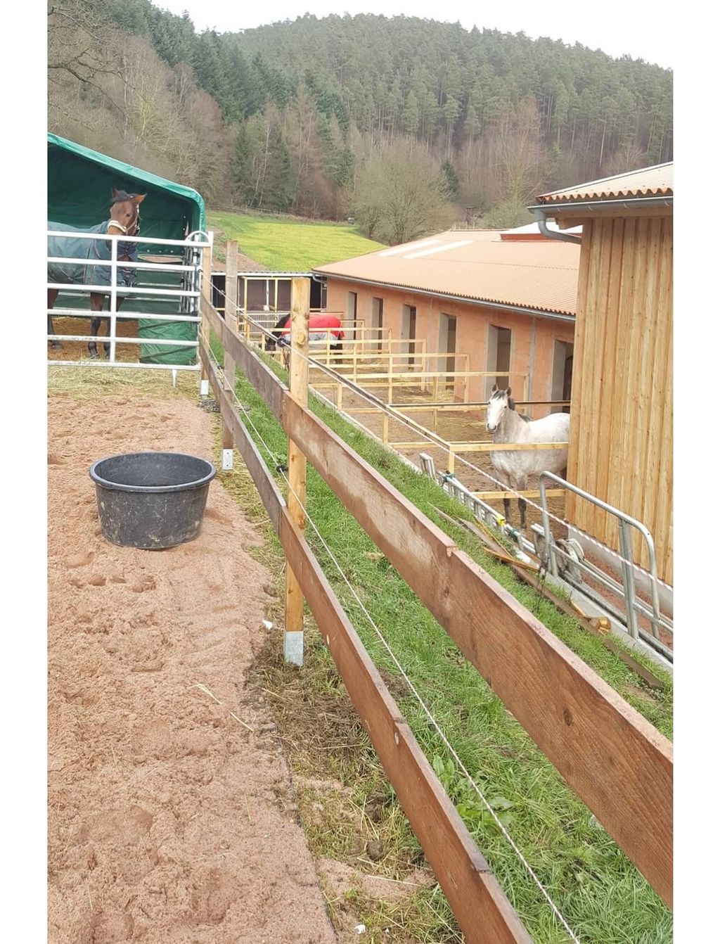 Am Pferdehof - Alleinlage direkt am Waldrand