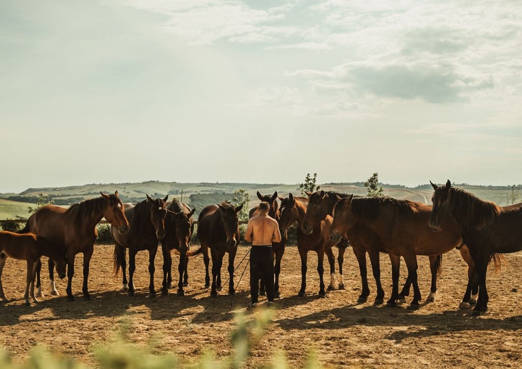 Parcela con vistas abiertas cerca del arroyo