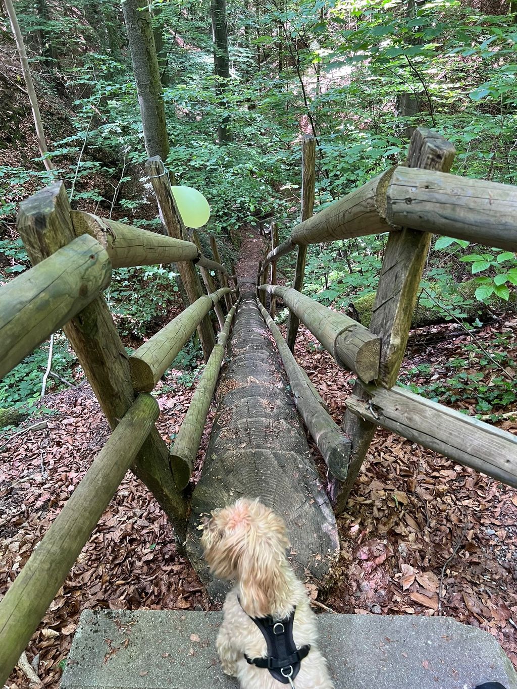 In the middle of the Swabian-Franconian Forest Nature Park
