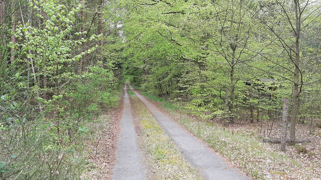 Large meadow on the Szczecin Lagoon