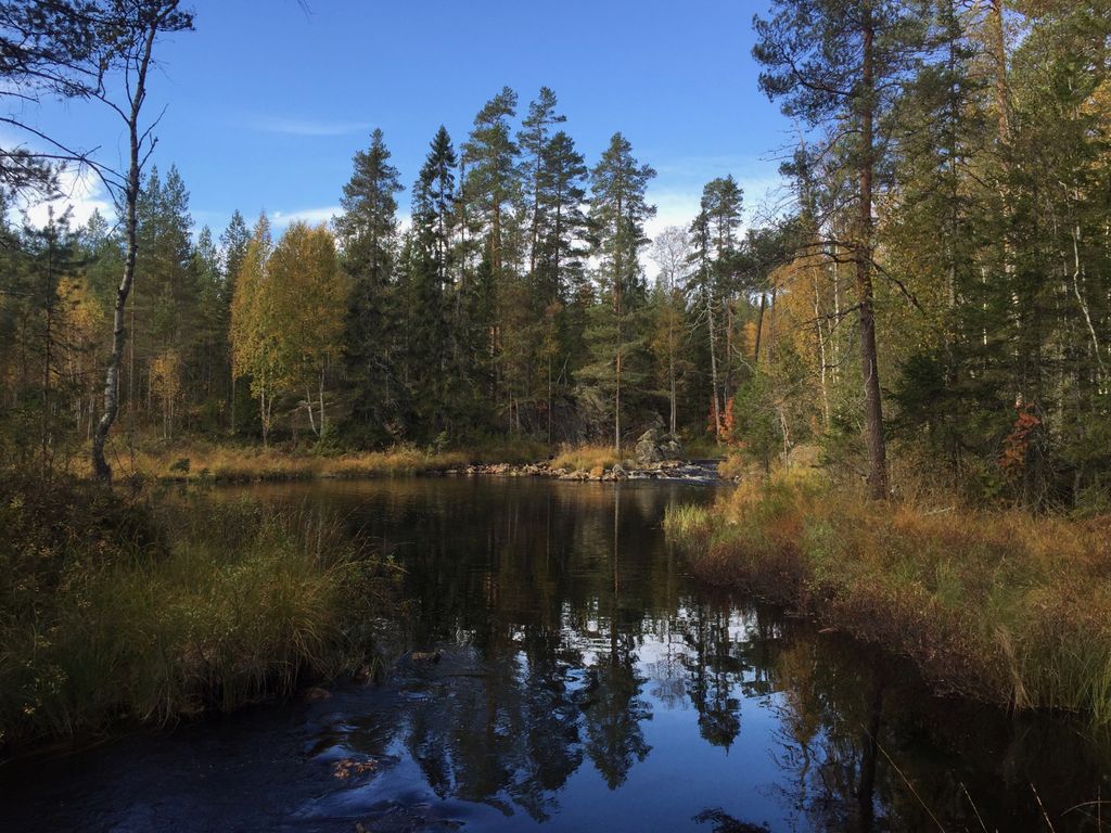 La Svezia da vicino nella regione di Bergslagen