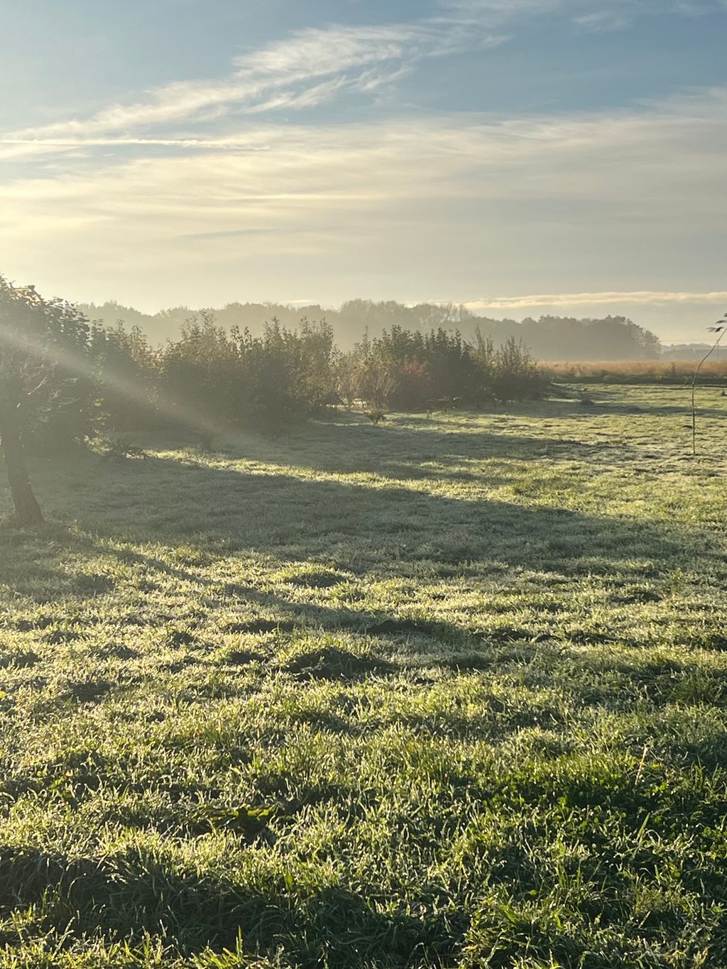 Mediterranean nature experience on the Lower Rhine