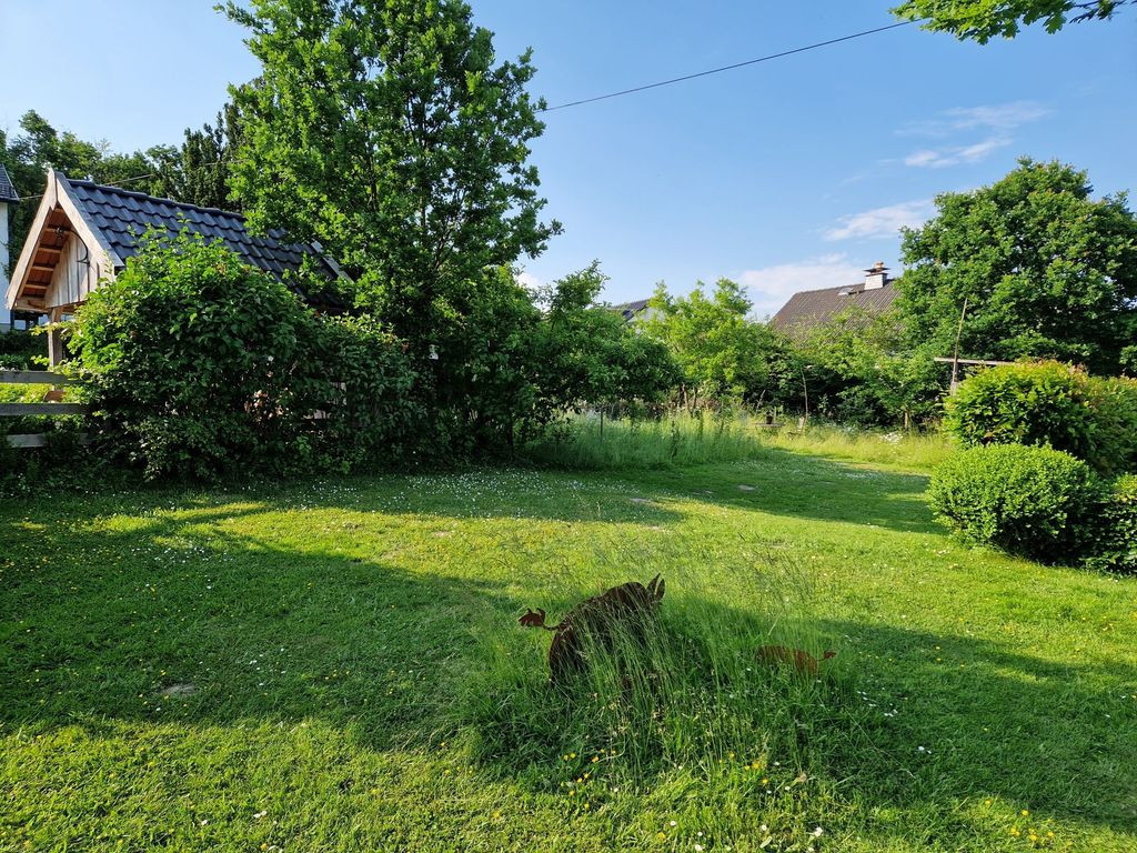 Quiet location on the edge of the forest with far-reaching views Ru