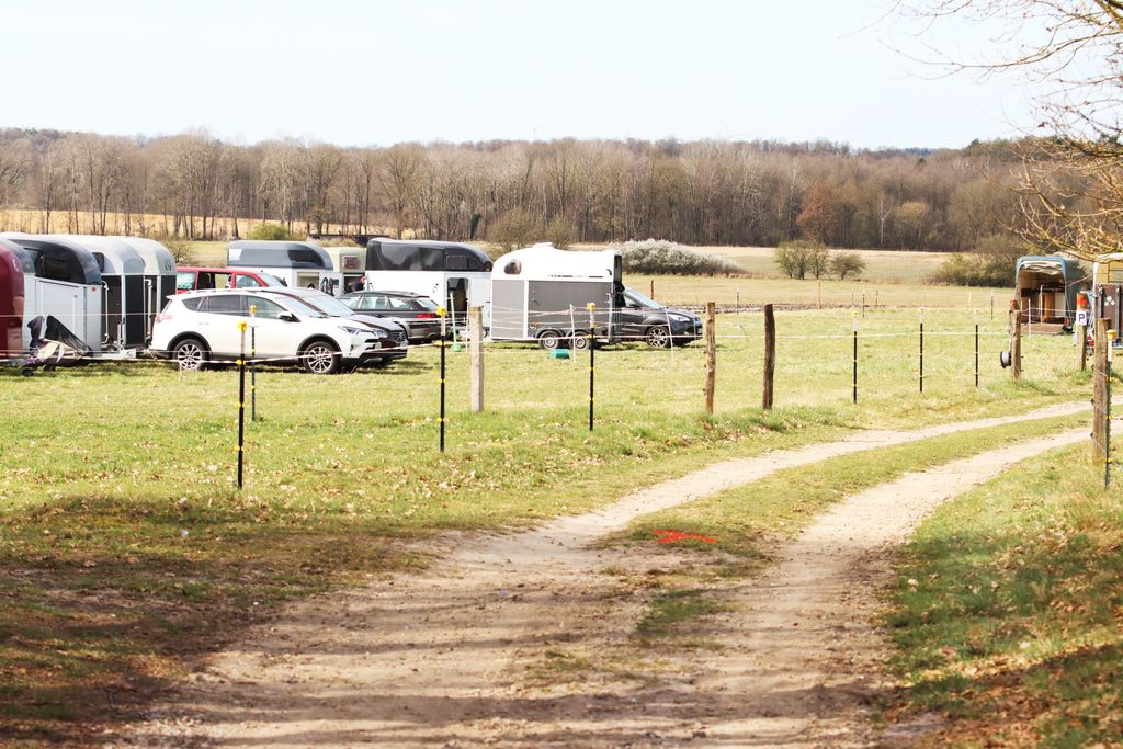 Pastos para caballos en la reserva natural de Lüneburg Heath