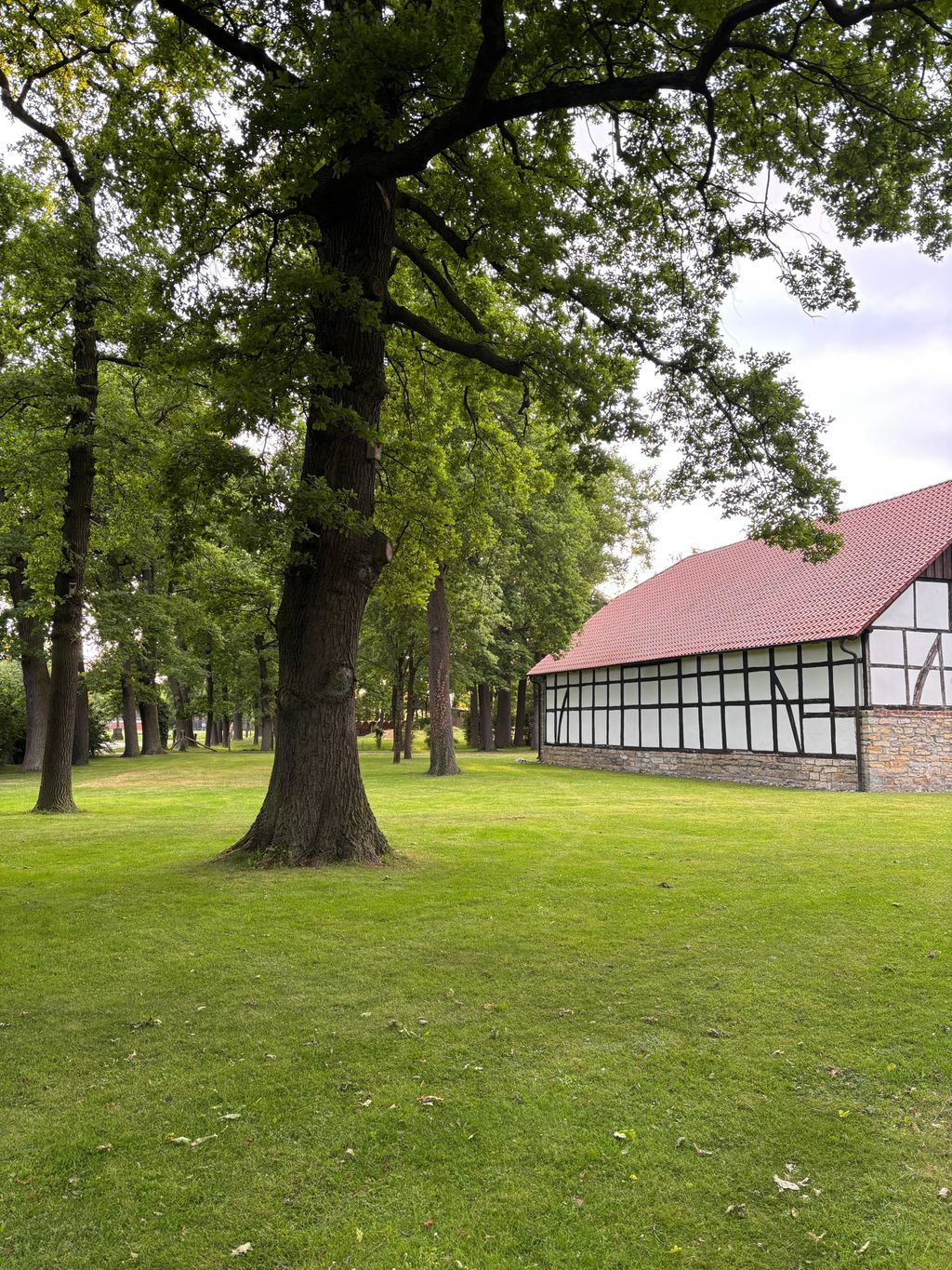 Relaxen und Aktivitäten auf dem Resthof