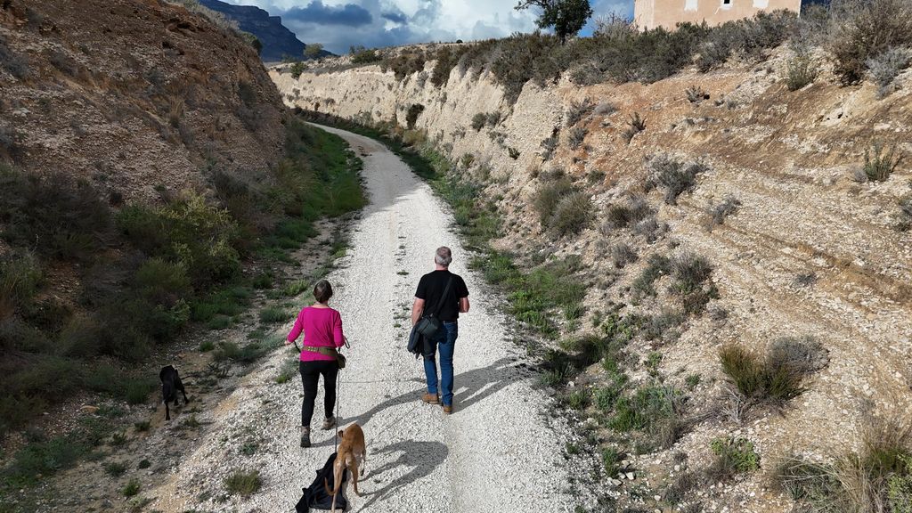 Ländlicher Rückzugsort: Weinberge, Olivenhaine und Meerblick