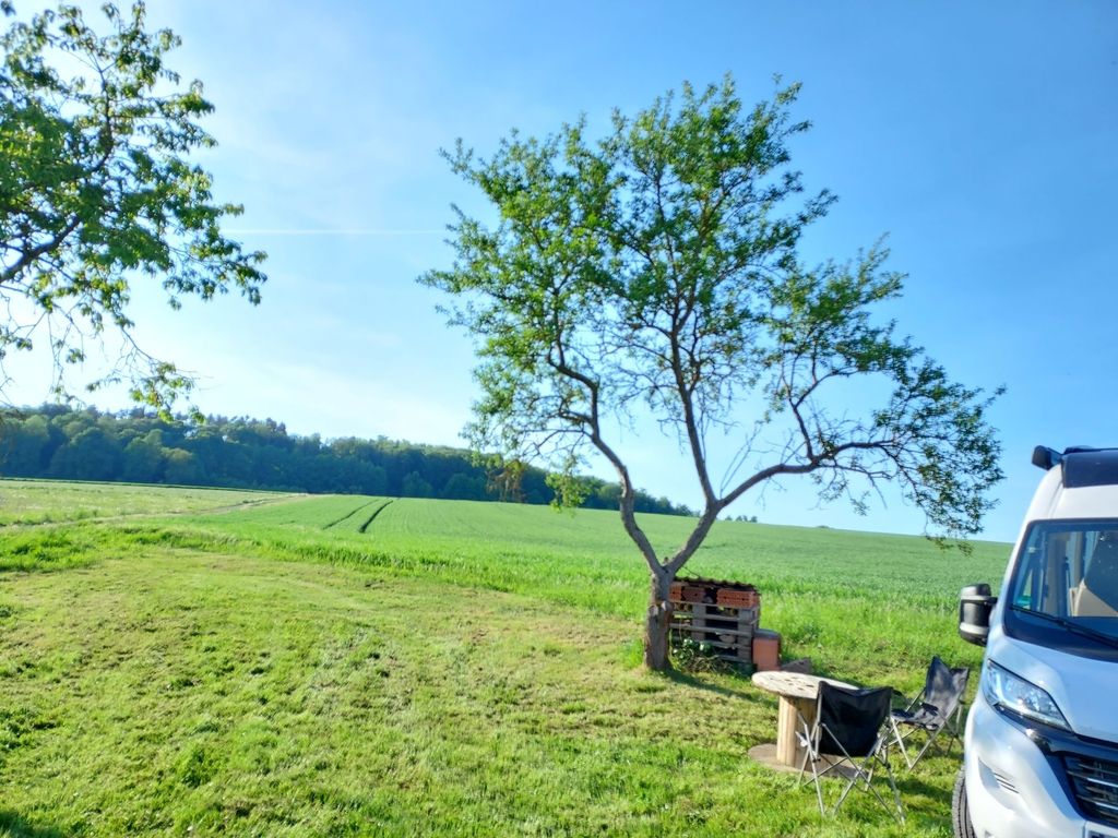 Wiesenstellplatz umgeben von Wald und Feld