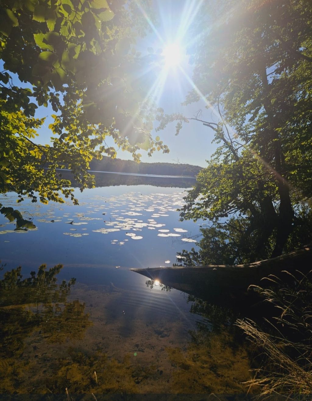 In a secluded location by the lake in the Uckermark